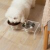 Comedouro Duplo - De Acrilico Preto 2 Tigela Inox P Cão E Gato - Imagem 3